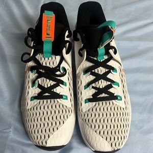 Nike Lebron Witness V